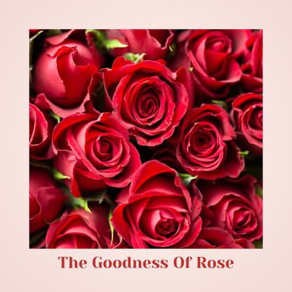 (Pack Of 3)Licorice Luxe – Hyper-Calm Redness Relief Solution