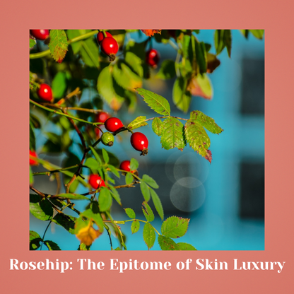 Eternal Luxe Soap – Re-Youth Anti-Fatigue Care