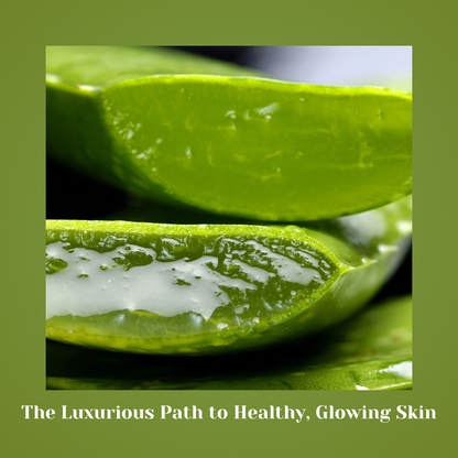 Aloevia Aloevera – Barrier-Boost Skin Repair Care