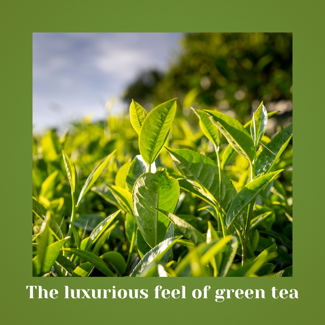 Jade Leaf – Helps reduce dryness and dullness