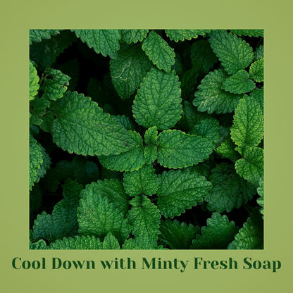 Refreshing Mint – City-Fatigue Pollution Cleanser