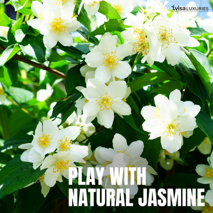 (Pack of 3)Aurélie Jasmine – Aroma-Glow Mood Sensory Ritual