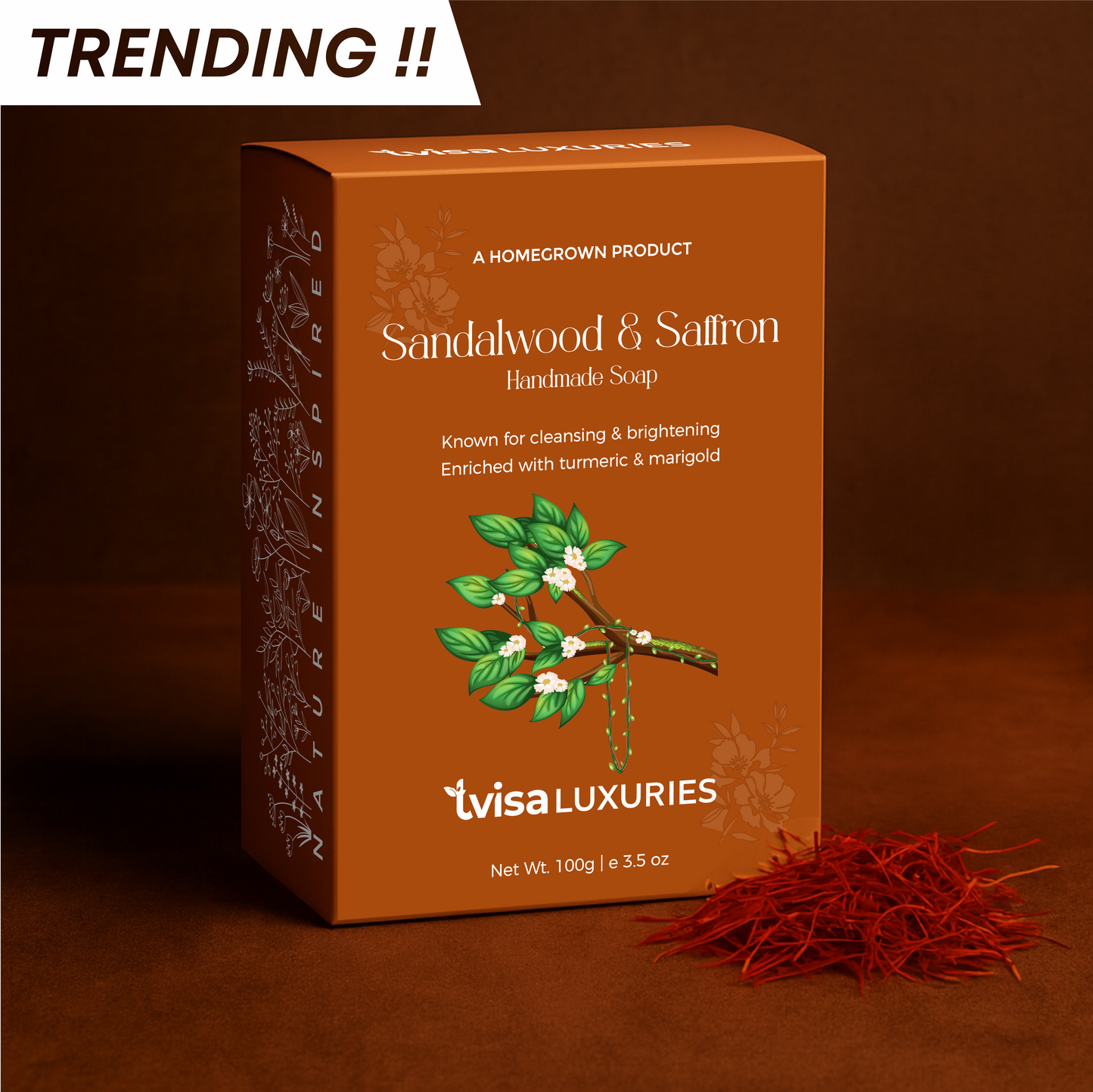 Aurum Sandalwood – Calm-Luxury Texture Smoother